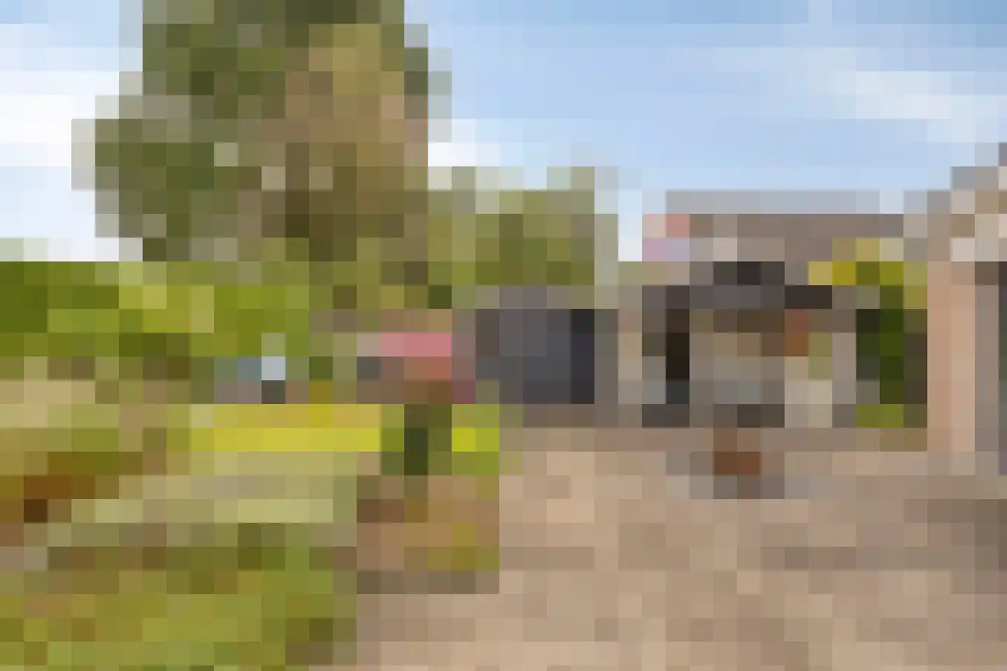 De Kamp 23 's-Heerenberg thumbnail 40