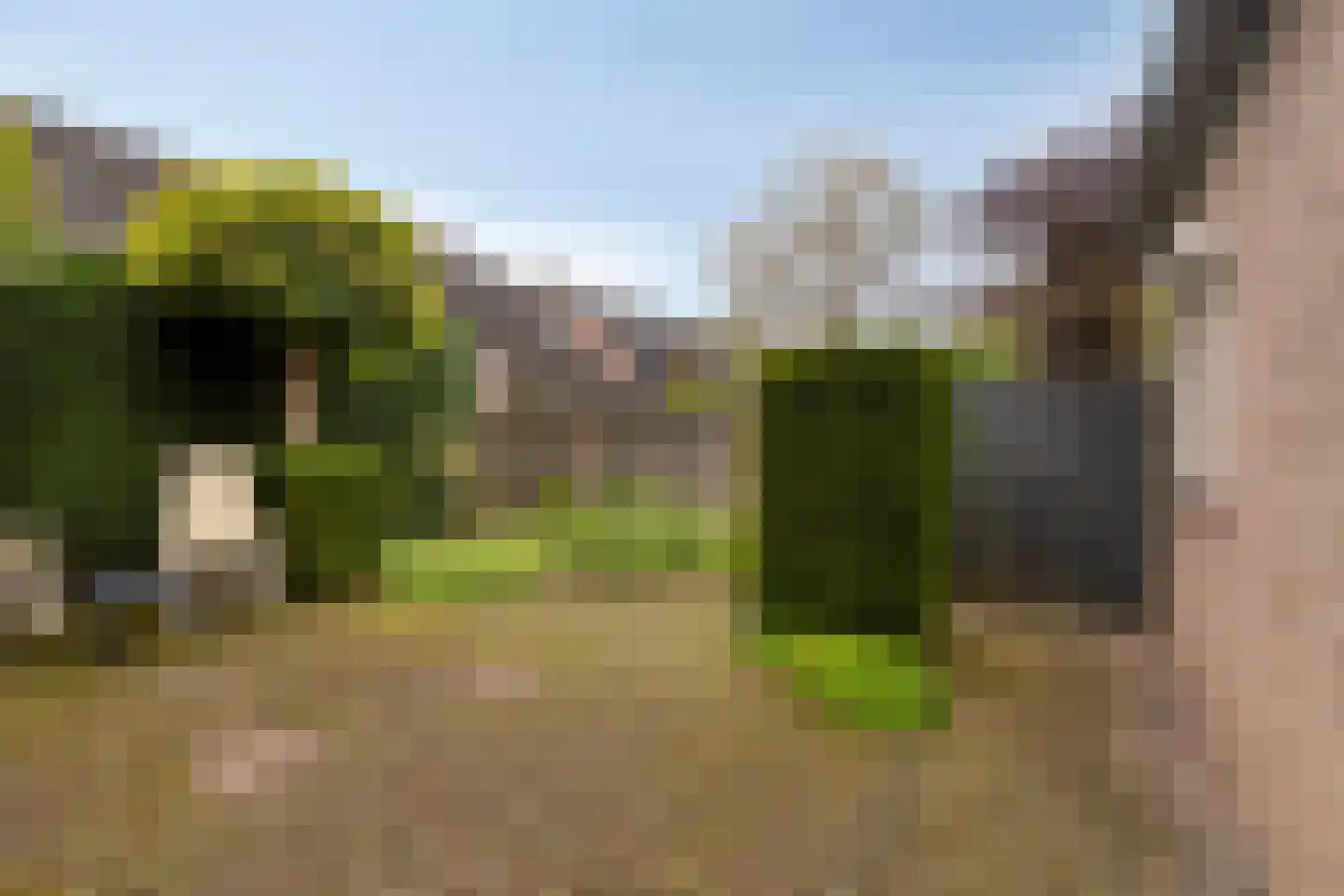 De Kamp 23 's-Heerenberg thumbnail 44