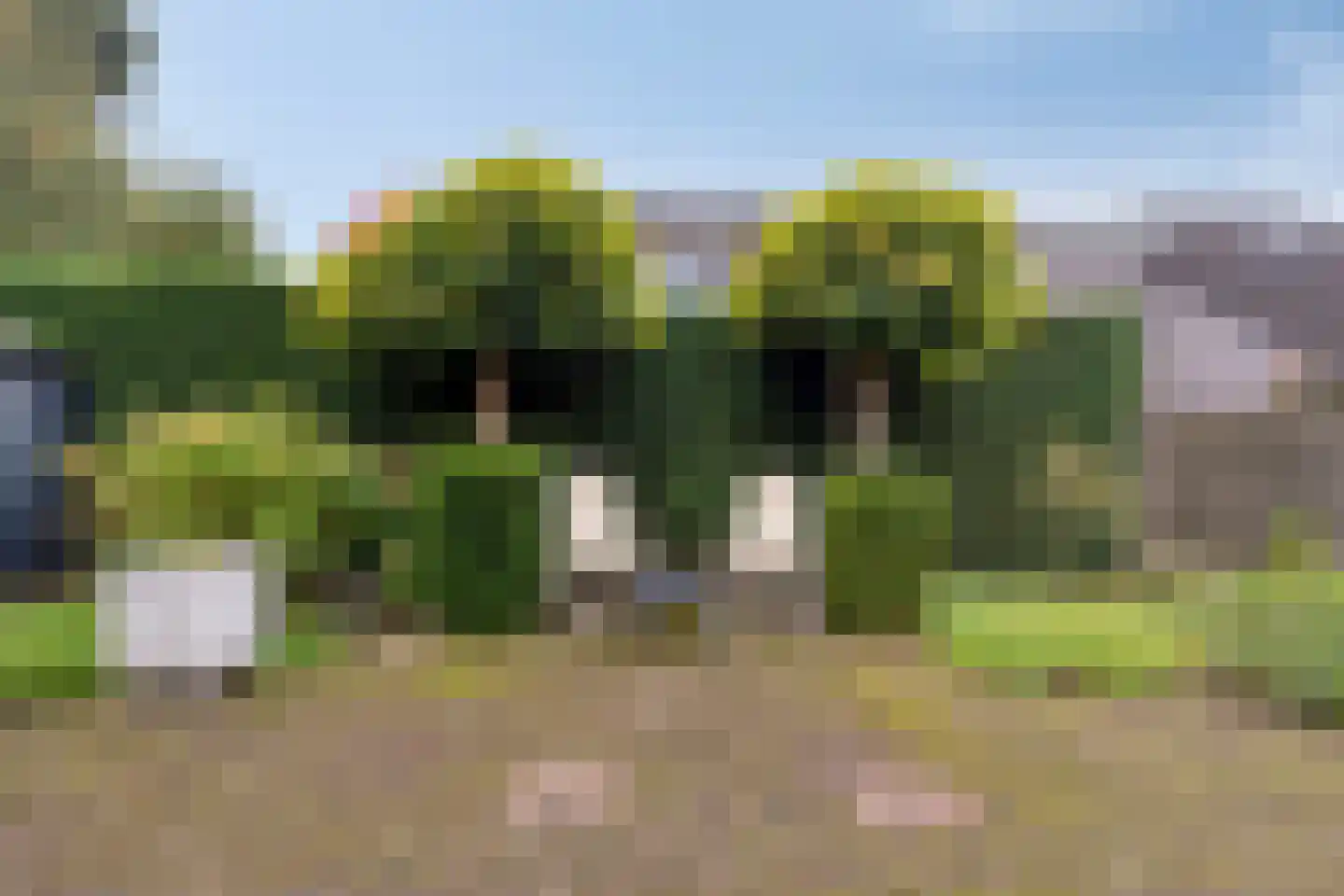 De Kamp 23 's-Heerenberg thumbnail 45