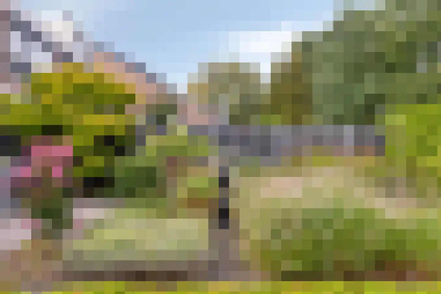 De Kamp 23 's-Heerenberg thumbnail 48