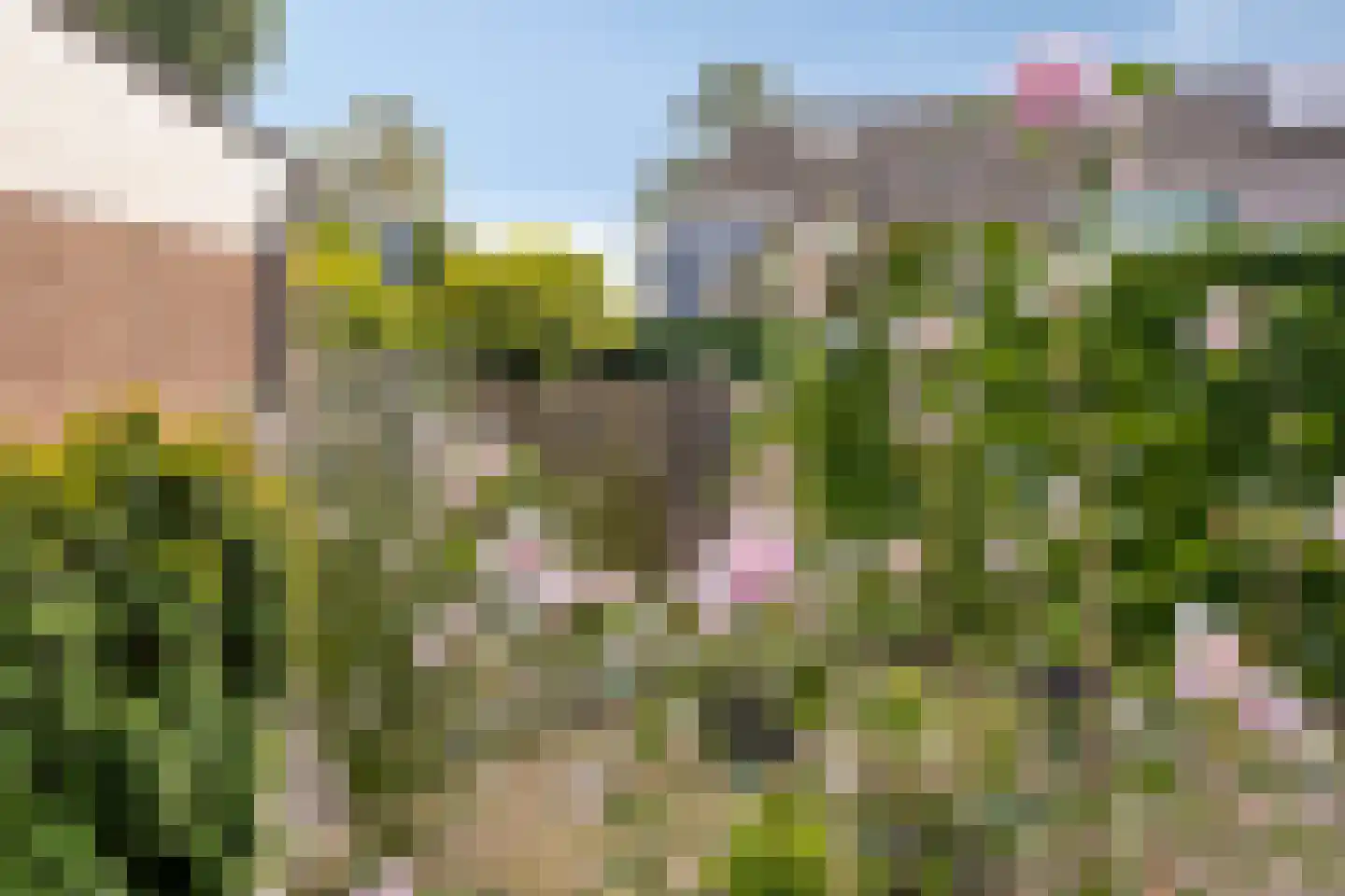 De Kamp 23 's-Heerenberg thumbnail 49