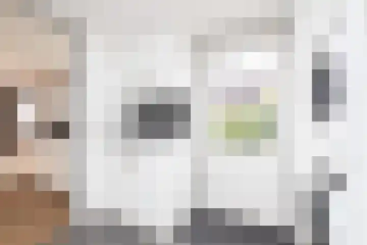 De Kamp 25 Makkum thumbnail 16
