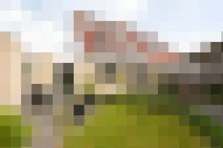 De Kamp 25 Makkum thumbnail 39