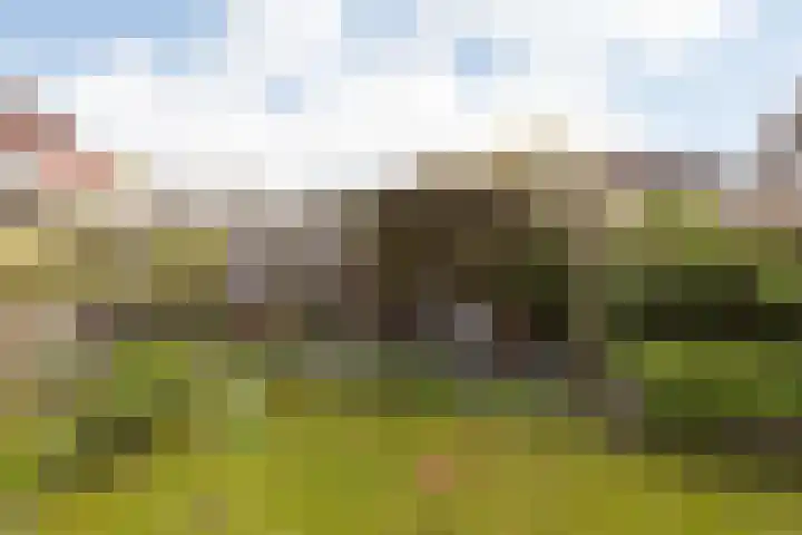 De Kamp 25 Makkum thumbnail 41
