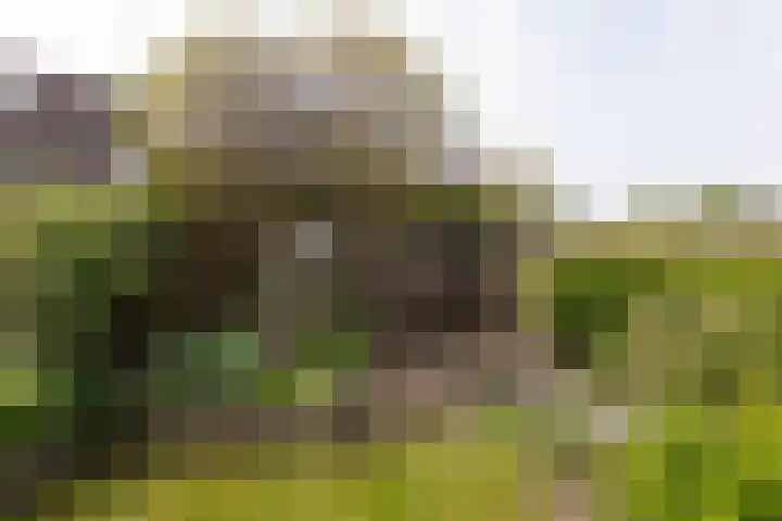 De Kamp 25 Makkum thumbnail 43