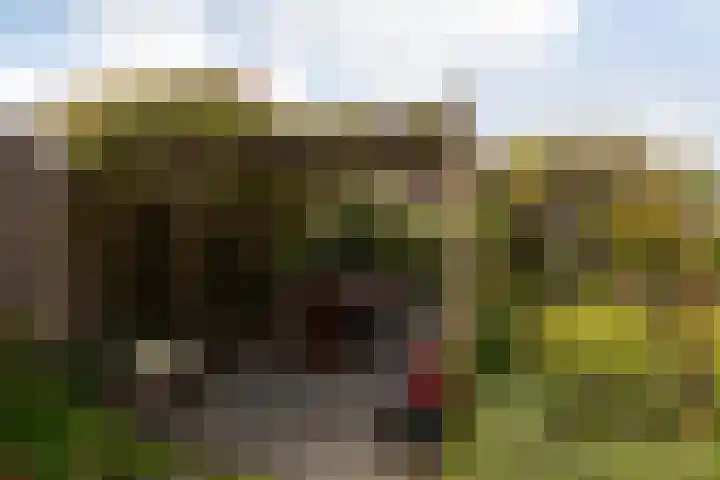 De Kamp 25 Makkum thumbnail 44