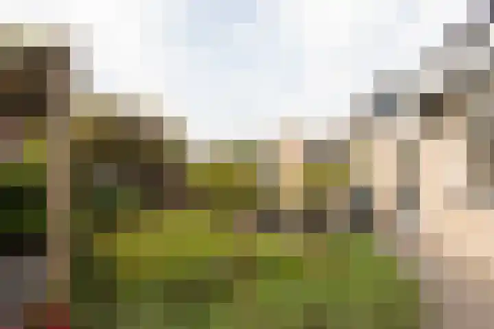 De Kamp 25 Makkum thumbnail 45