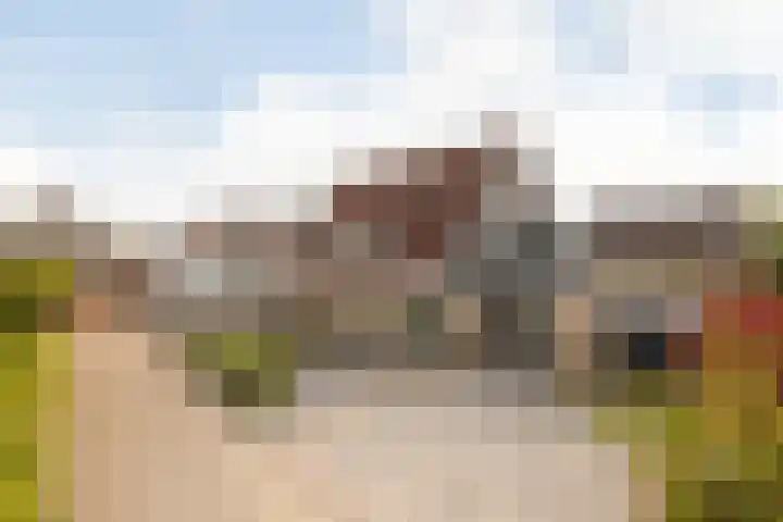 De Kamp 25 Makkum thumbnail 46