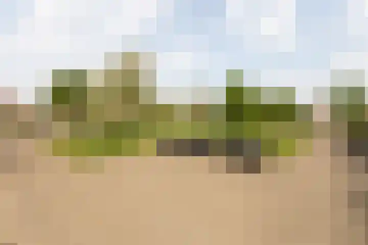 De Kamp 25 Makkum thumbnail 49