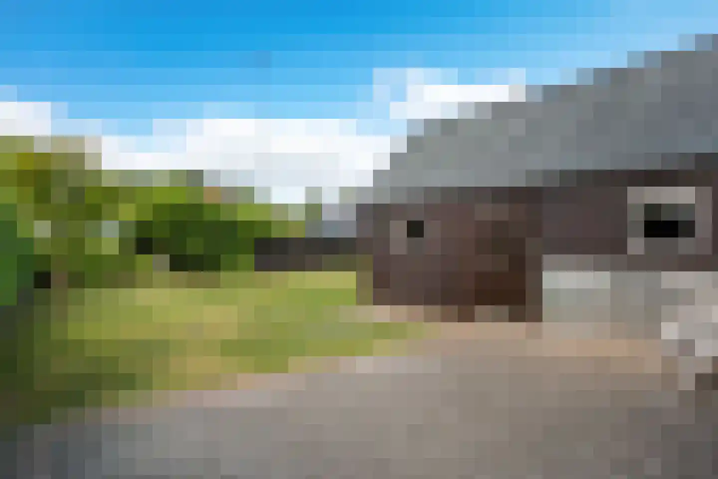 De Kamp 28 A Nieuwolda thumbnail 17