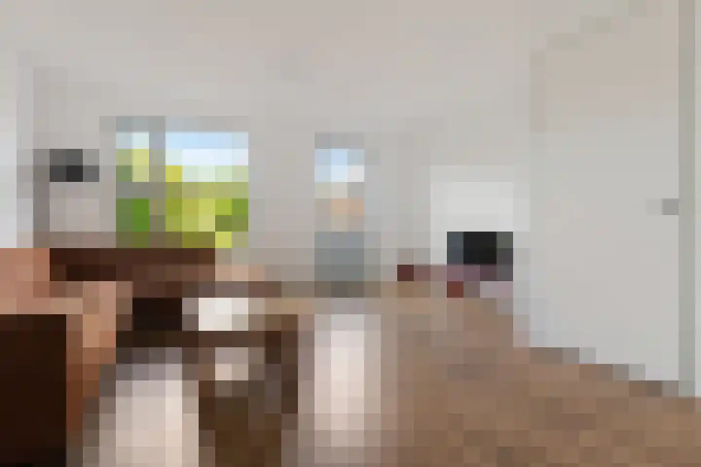 De Kamp 28 A Nieuwolda thumbnail 23