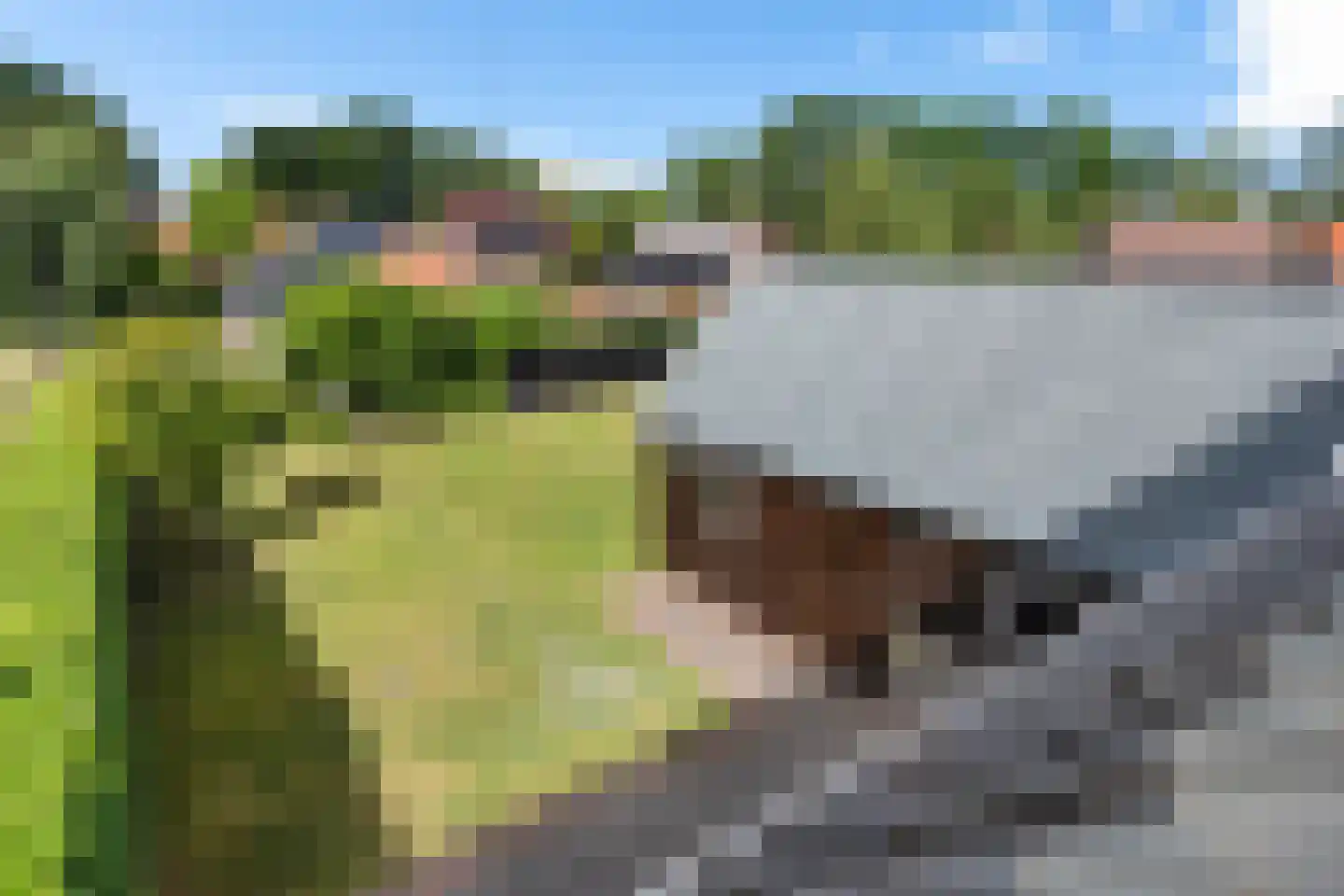 De Kamp 28 A Nieuwolda thumbnail 41