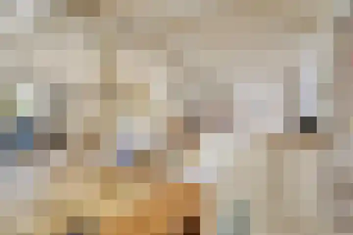 De Kamp 3 Pingjum thumbnail 10