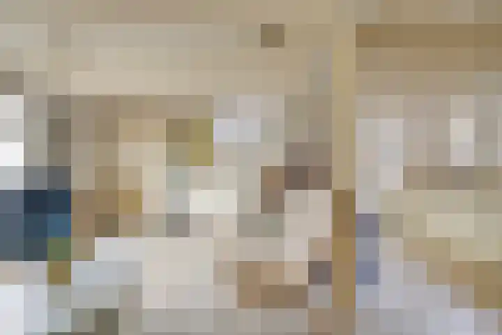 De Kamp 3 Pingjum thumbnail 12