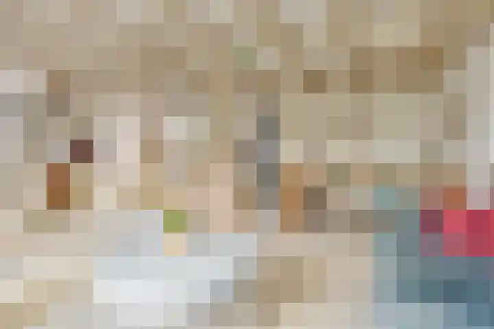 De Kamp 3 Pingjum thumbnail 13
