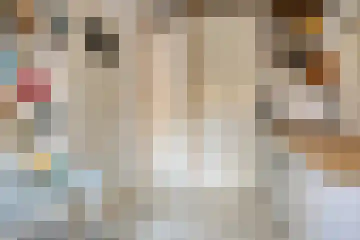 De Kamp 3 Pingjum thumbnail 14