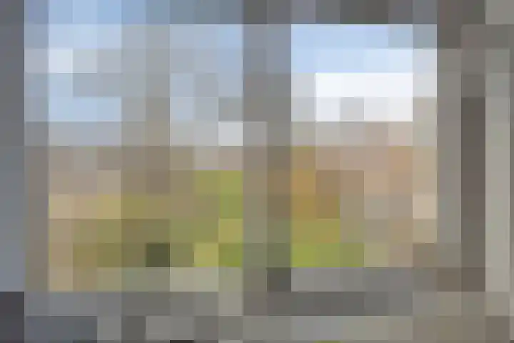 De Kamp 3 Pingjum thumbnail 20