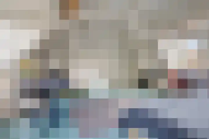 De Kamp 3 Pingjum thumbnail 21