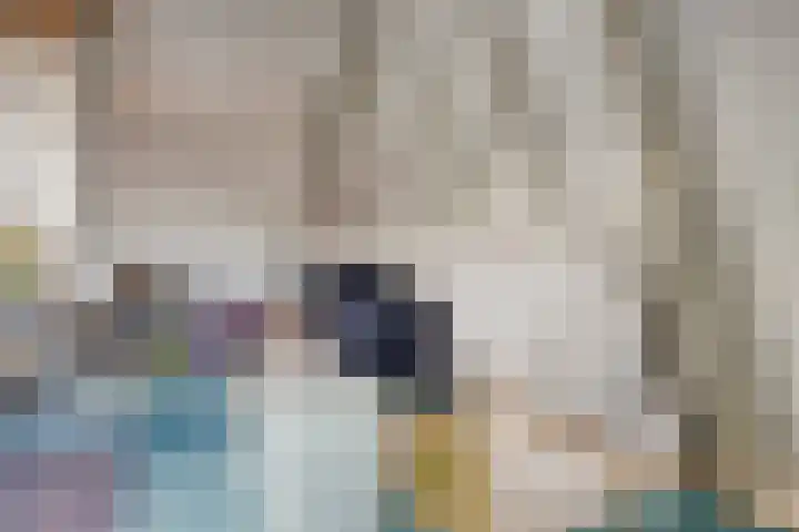De Kamp 3 Pingjum thumbnail 22