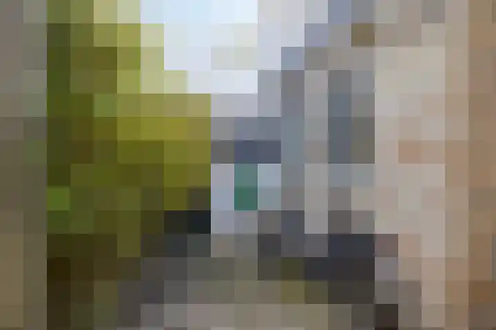 De Kamp 3 Pingjum thumbnail 23