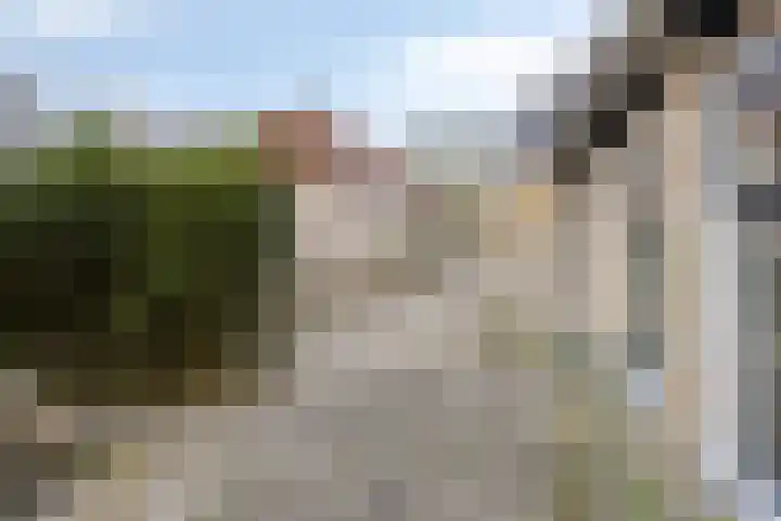 De Kamp 3 Pingjum thumbnail 24