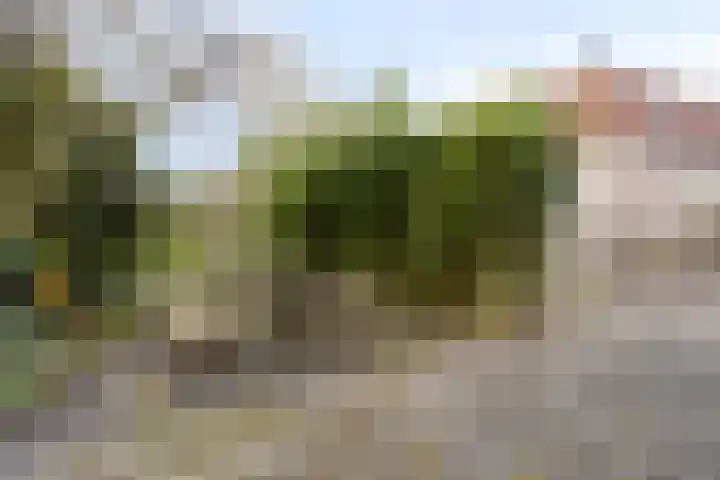 De Kamp 3 Pingjum thumbnail 25