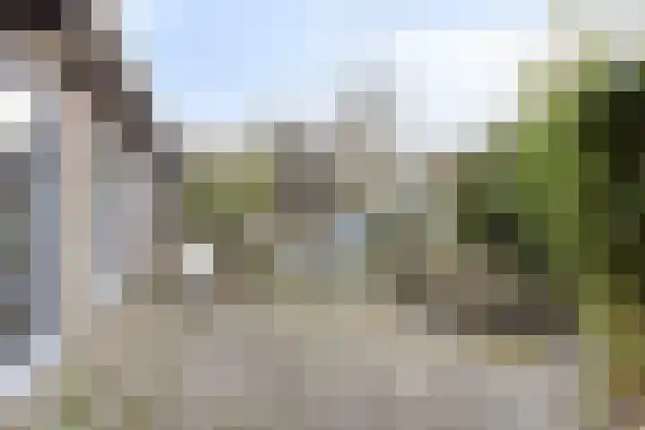 De Kamp 3 Pingjum thumbnail 26