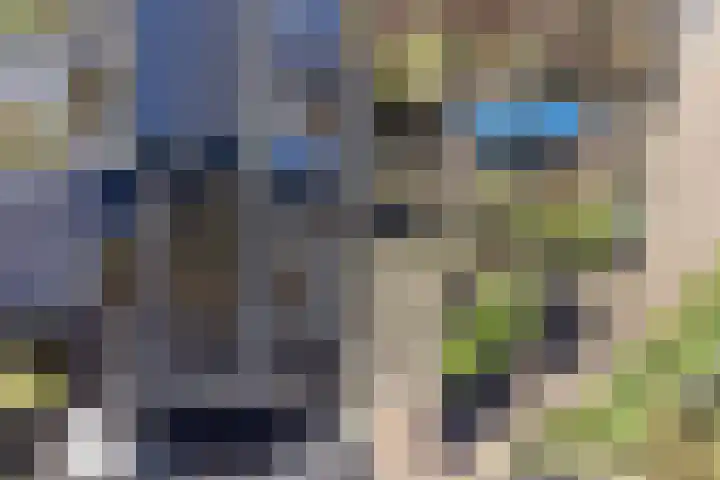 De Kamp 3 Pingjum thumbnail 27
