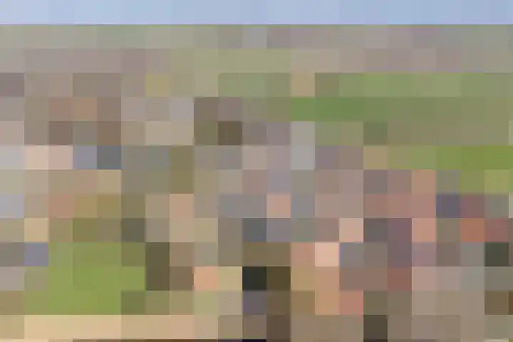 De Kamp 3 Pingjum thumbnail 31