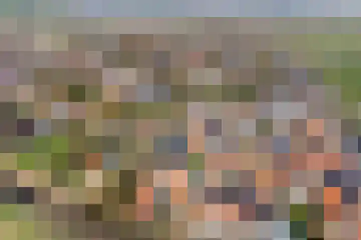 De Kamp 3 Pingjum thumbnail 32