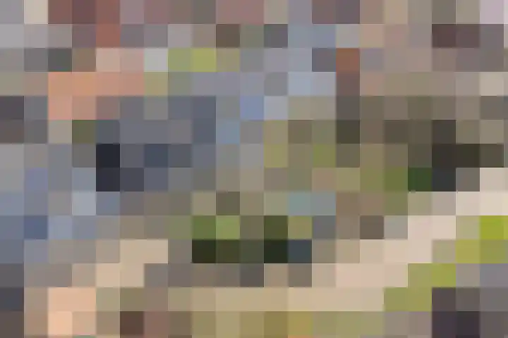 De Kamp 3 Pingjum thumbnail 33