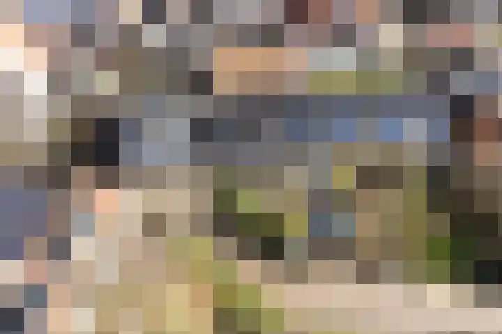 De Kamp 3 Pingjum thumbnail 34