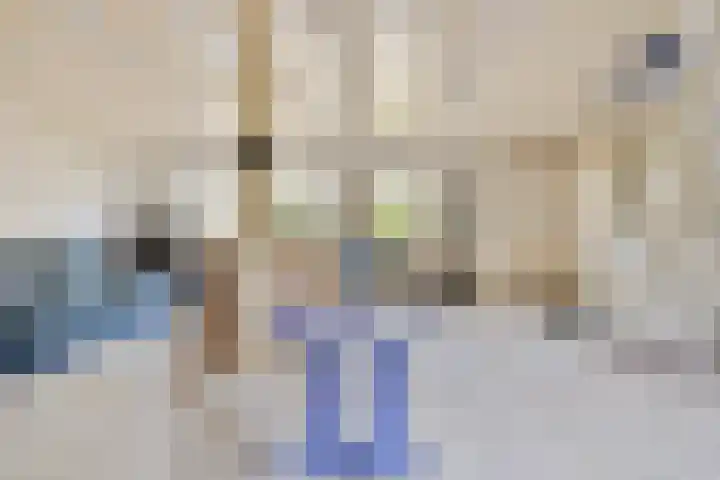 De Kamp 3 Pingjum thumbnail 7