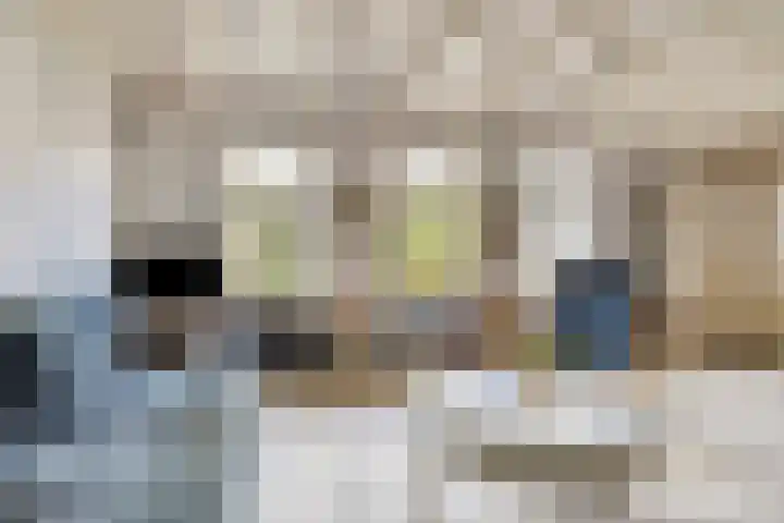 De Kamp 3 Pingjum thumbnail 8
