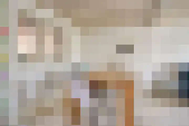 De Kamp 3 Pingjum thumbnail 9