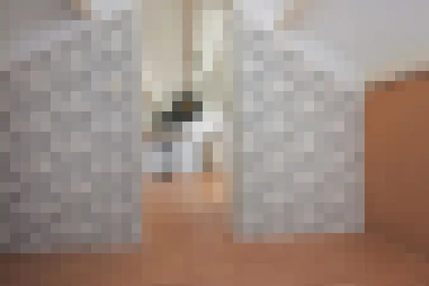 de Kamp 3 Ter Aar thumbnail 27