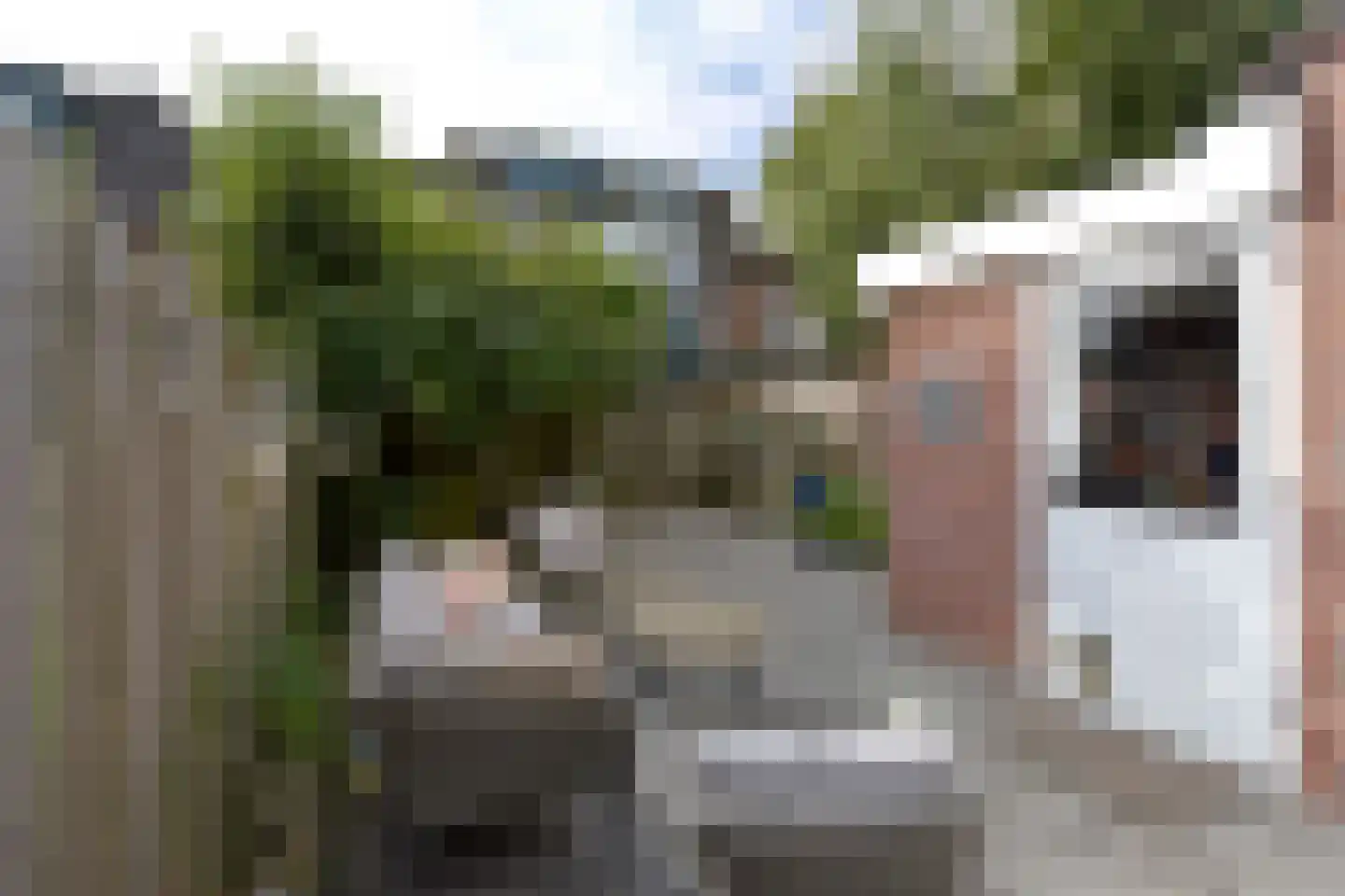 de Kamp 3 Ter Aar thumbnail 30