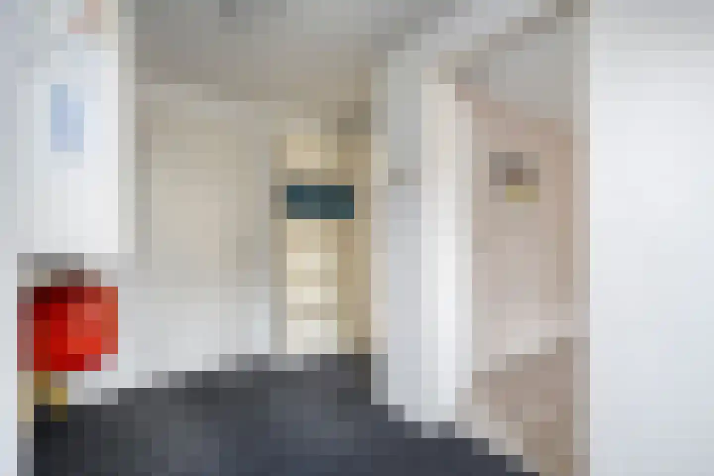 De Kamp 30 Vroomshoop thumbnail 24