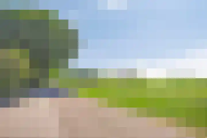 De Kamp 30 Vroomshoop thumbnail 4