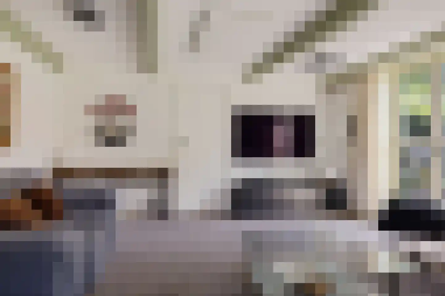 De Kamp 32 Nieuwolda thumbnail 10