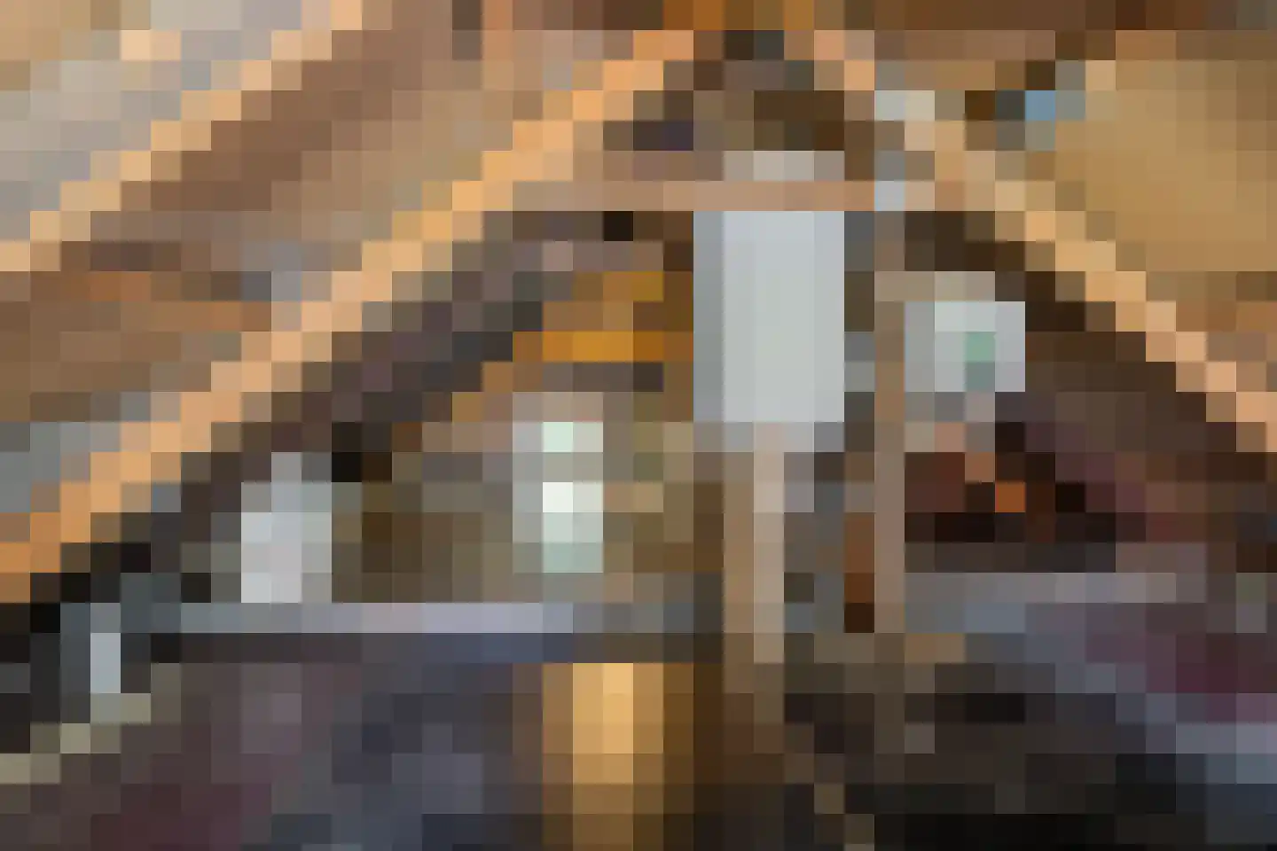 De Kamp 32 Nieuwolda thumbnail 24