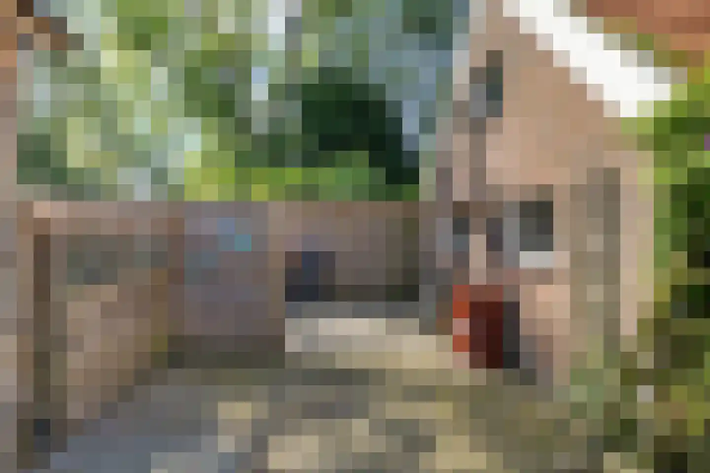 De Kamp 32 Nieuwolda thumbnail 27