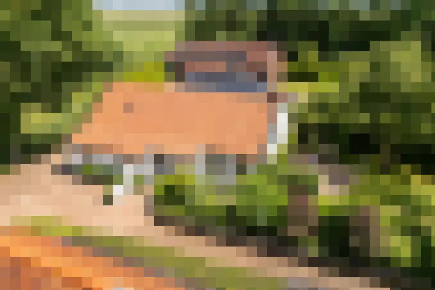 De Kamp 32 Nieuwolda foto 3