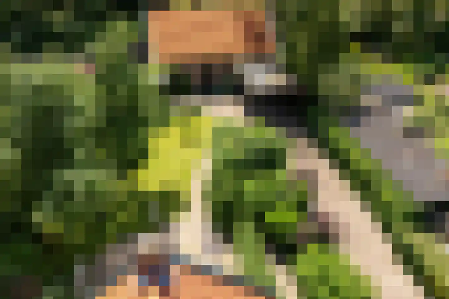 De Kamp 32 Nieuwolda thumbnail 32