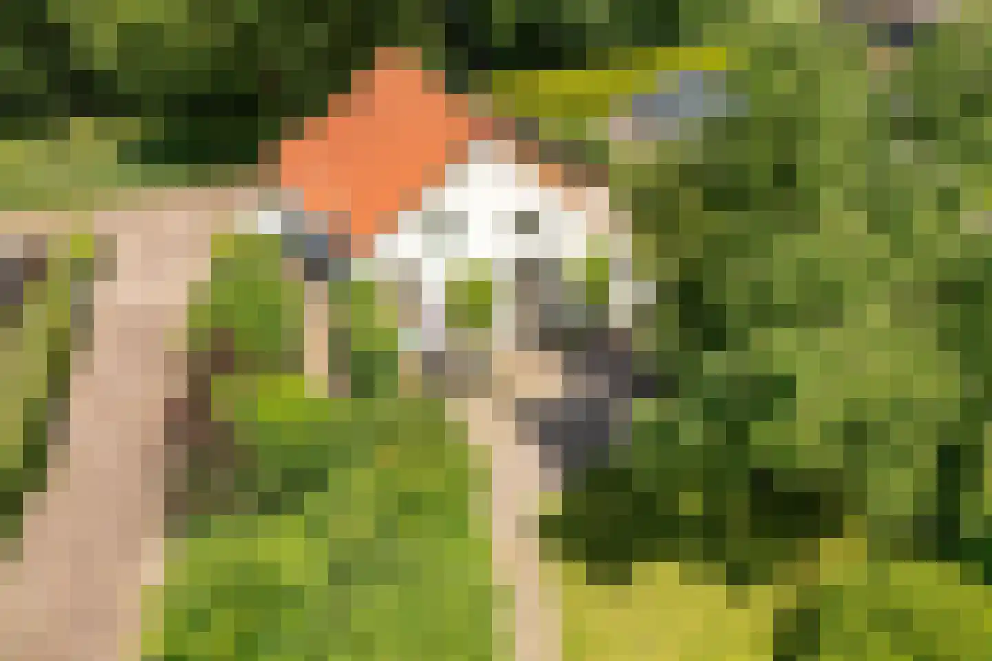 De Kamp 32 Nieuwolda thumbnail 33