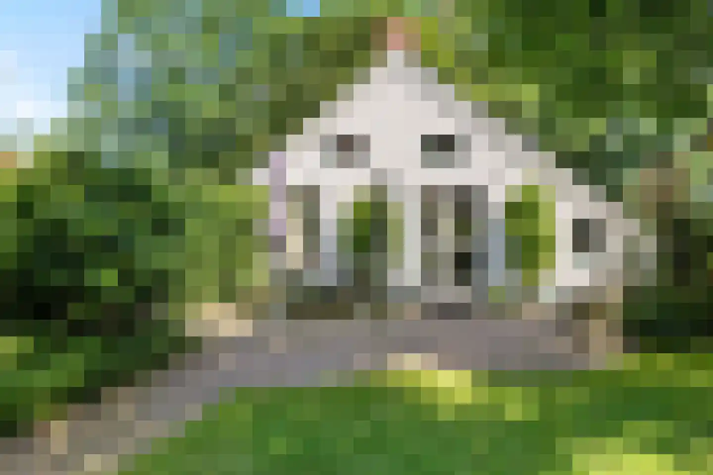 De Kamp 32 Nieuwolda thumbnail 34