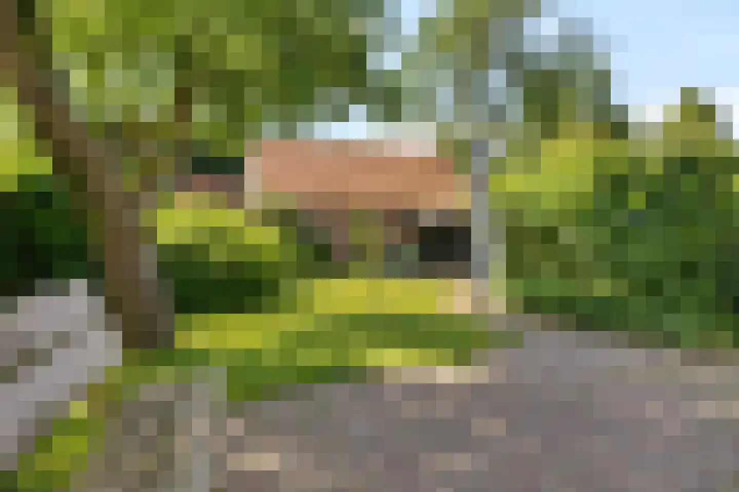 De Kamp 32 Nieuwolda thumbnail 36