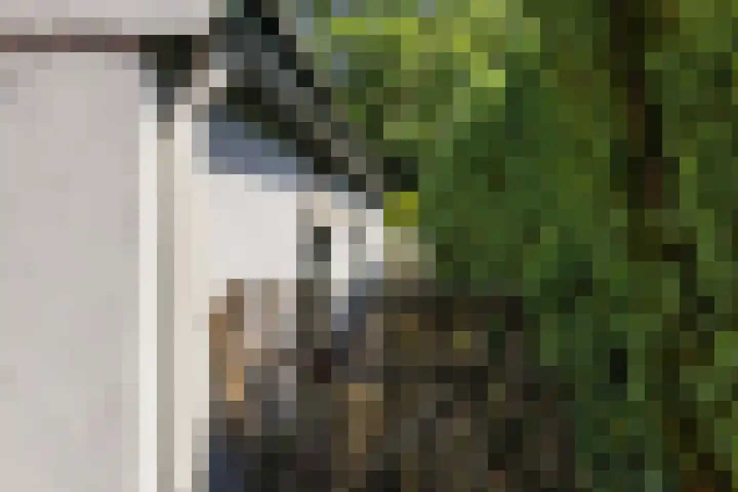 De Kamp 32 Nieuwolda thumbnail 37