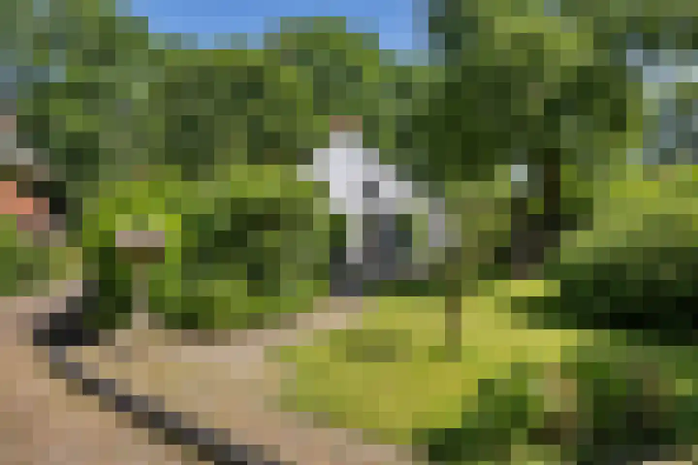 De Kamp 32 Nieuwolda thumbnail 4