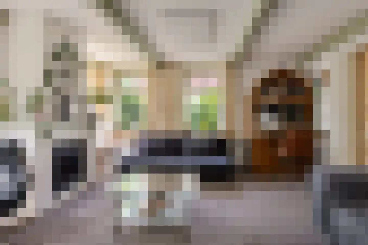 De Kamp 32 Nieuwolda thumbnail 9